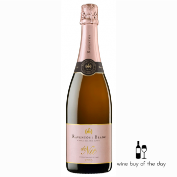 Raventos i Blanc De Nit (Rosé Cava) 2015