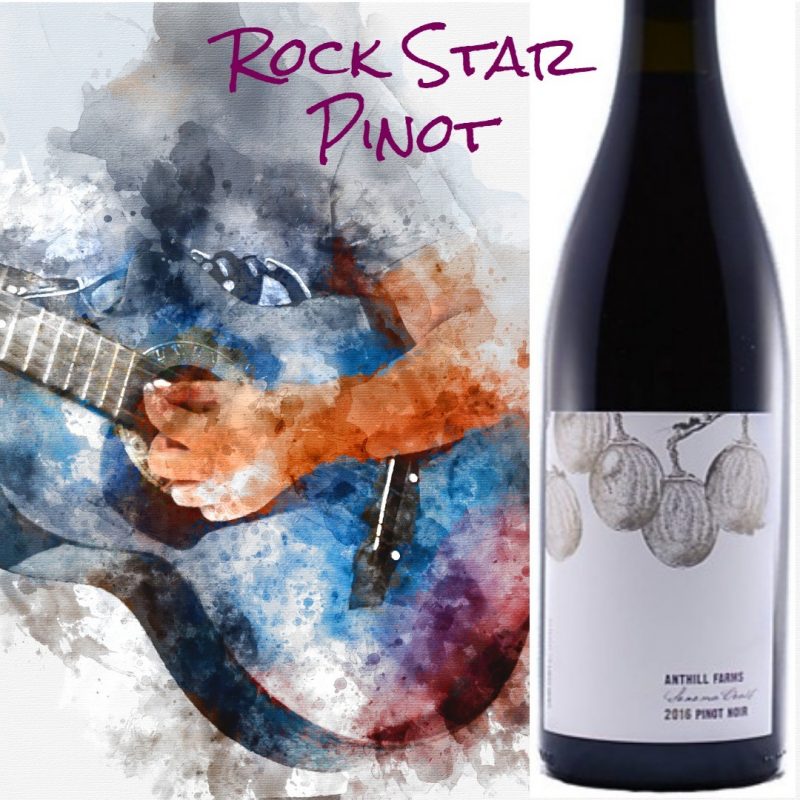 Anthill Farms Sonoma Coast Pinot Noir 2016