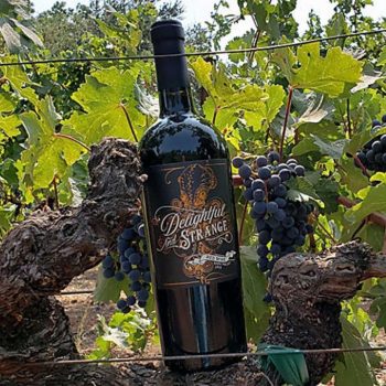 Delightful and Strange Red Blend 2016