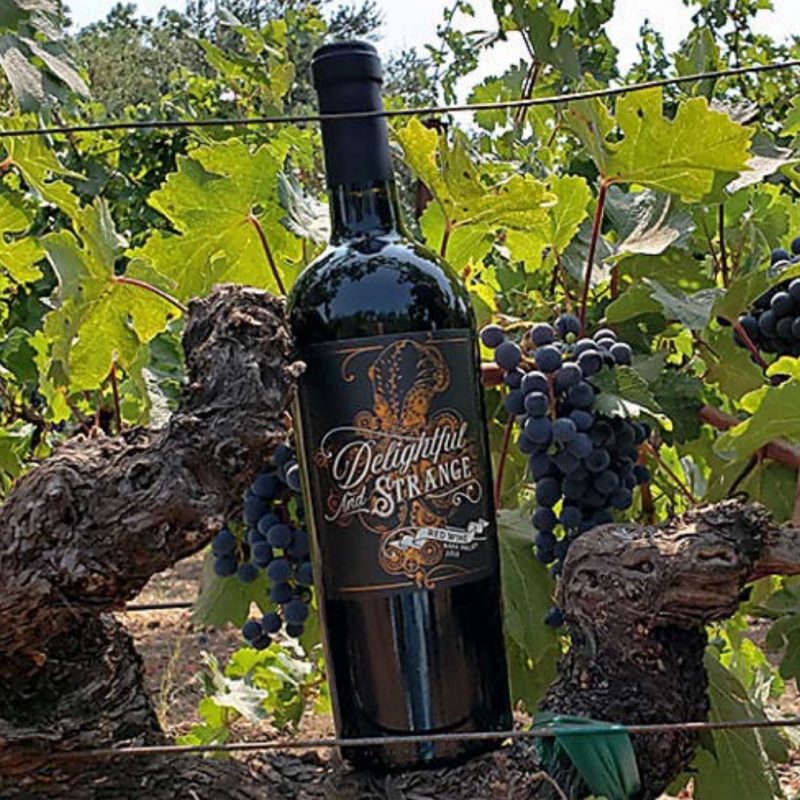 Delightful and Strange Red Blend 2016