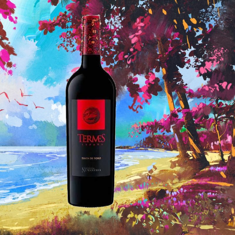 Numanthia Termes 2017